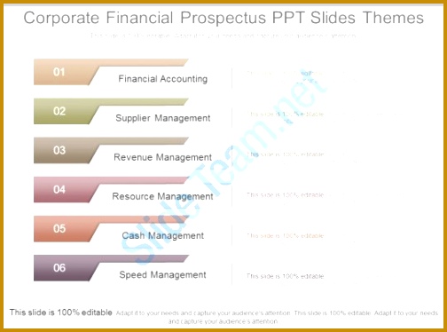 Unique Corporate Financial Prospectus Ppt Slides Themes 504374