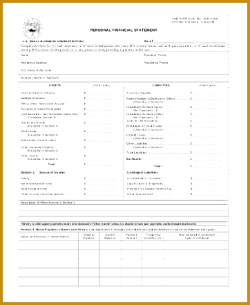 Sample Personal Financial Statement Form 9 Free Documents In 441362