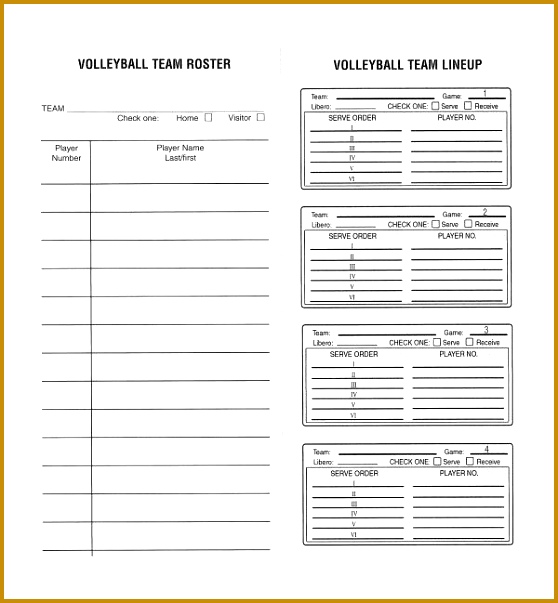 Sample Volleyball Roster Template 6 Free Documents Download in 558603