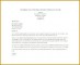 4 How to Write A Letter Of Recommendation for A Teacher