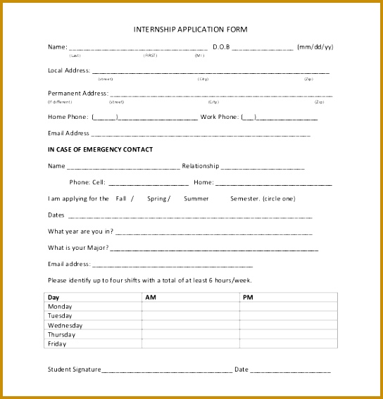 Example Internship Application Form Template Free Download 567544