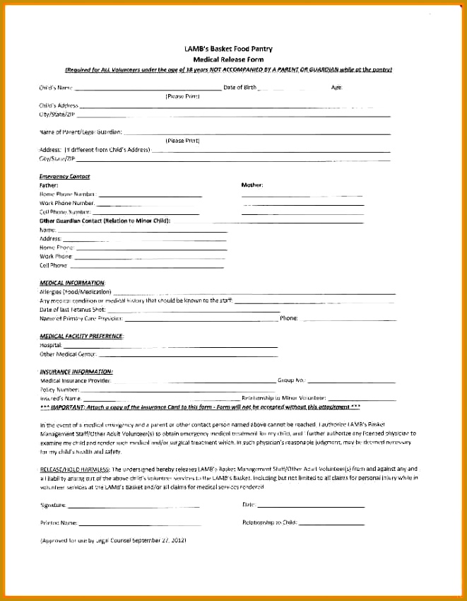 100 insurance release form template privacy release form 661850