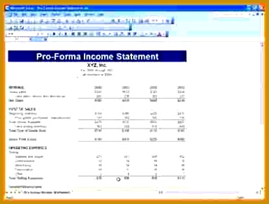 pro forma financial statements template Proformain estat 292385