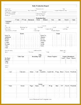 Daily Production Report Business Form Template 337261