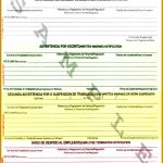 Progressive Discipline form Template 15036 Progressive Discipline Template 28 Images Sle Progressive 642500