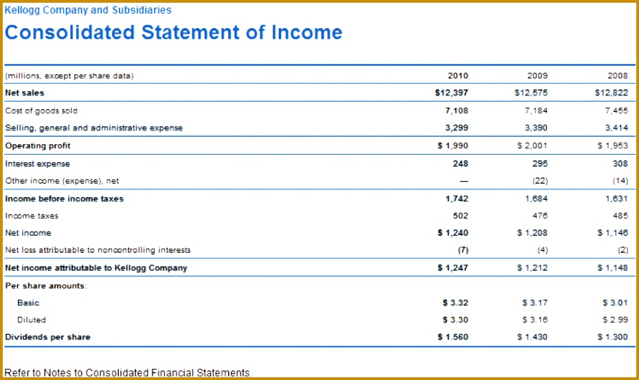 Financial Statements Templates For Small Business Balance Sheet Templates Free Business Financial Statement Template In e Statement 553930
