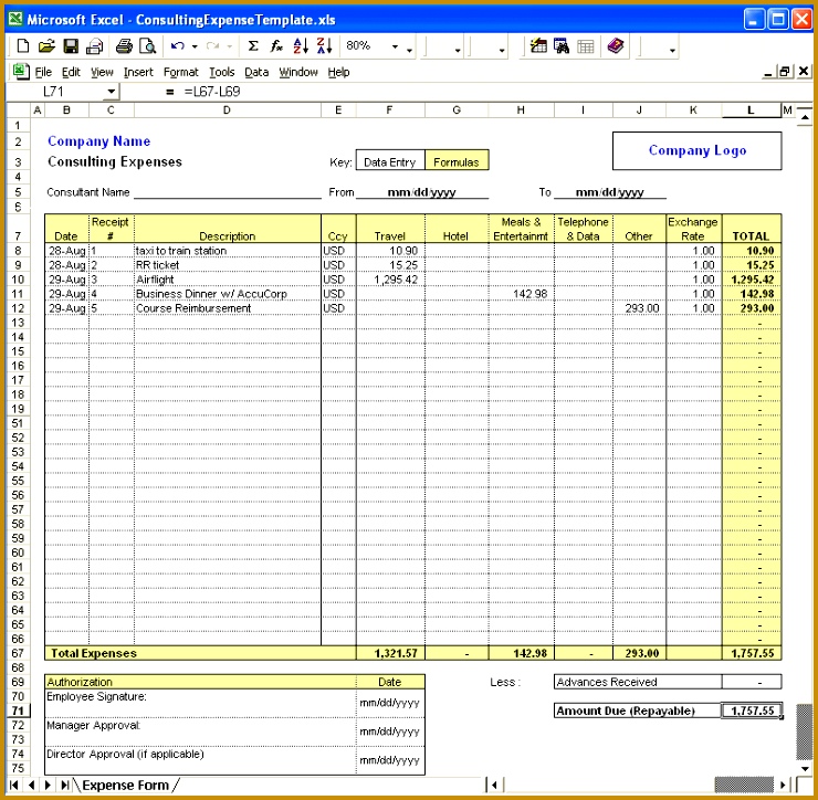 excel expense 724740
