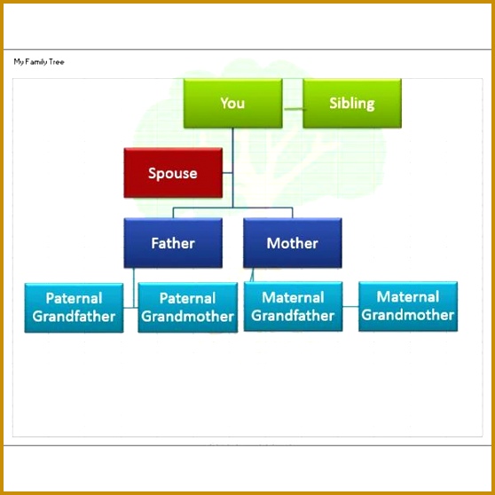 Excel Family Tree The first template 558558