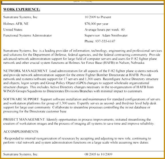 Download Federal Government Resume Template 558576