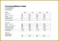 5 Ms Excel Balance Sheet format