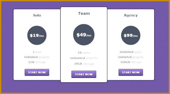 Checkout css Pricing Table 304548