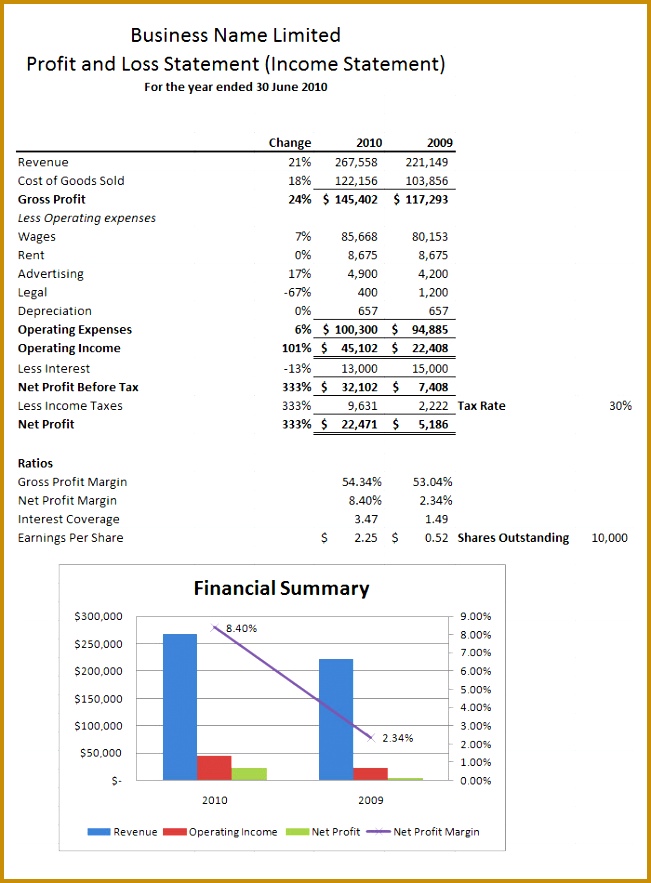 profit and loss statement template sample 651883