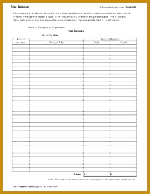 trial balance sheet 283219