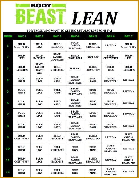 teamRIPPED Body Beast X3 Hybrid hybrid Workouts Pinterest 598465