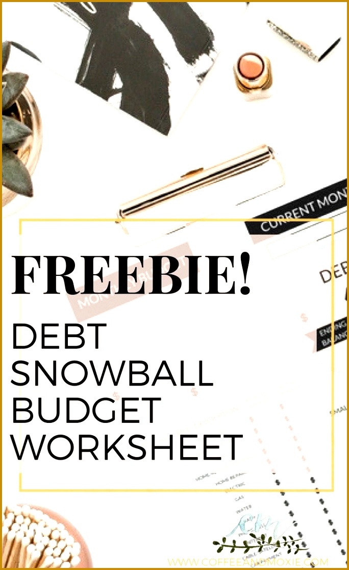 Debt Snowball Bud Worksheet 1116684