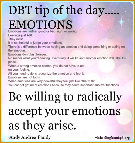 DBT Emotional Regulation Skills 542514