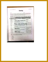 2 pages Castle 217167