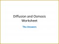 6 Diffusion and Osmosis Worksheet