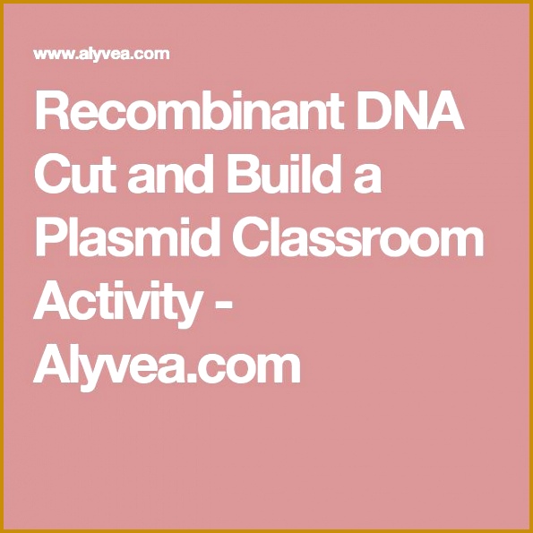 Re binant DNA Cut and Build a Plasmid Classroom Activity Alyvea 595595
