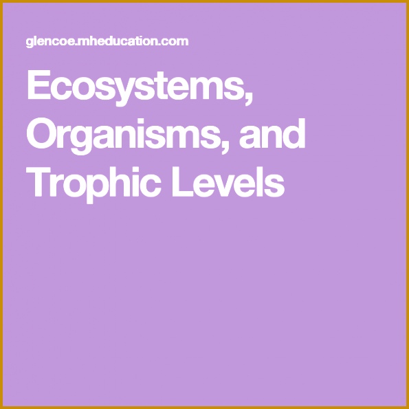 Ecosystems Organisms and Trophic Levels 595595