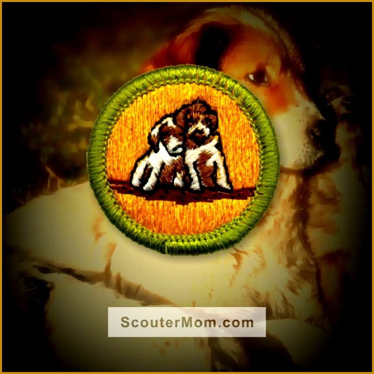 dog care merit badge worksheet the best and most prehensive 744744