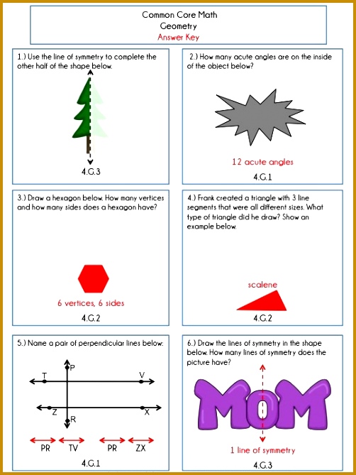 4th Grade mon Core Math Review or Homework Problems Geometry 669502