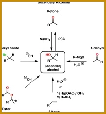 ab574d45a5e0683d1c7287f665ee61ab organic chemistry reactions functional group 235219