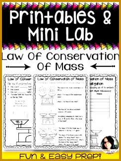 Law of Conservation of Mass Worksheets and Mini Investigation 325244