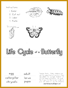 Free Life Cycle of a Butterfly Cut & Paste Worksheet 301232