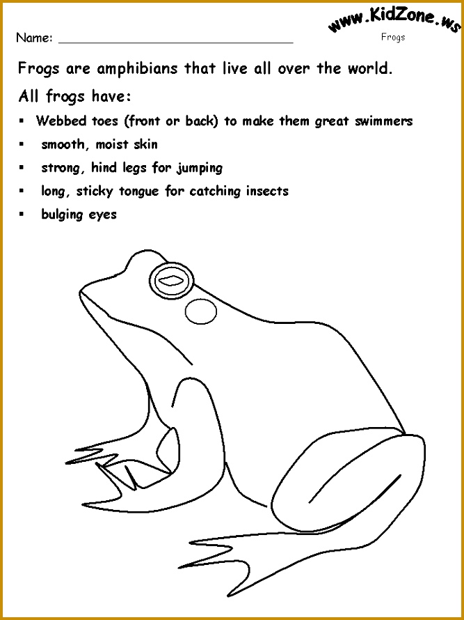 Frog Cycle Activities 890667
