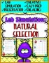 5 Natural Selection Worksheet