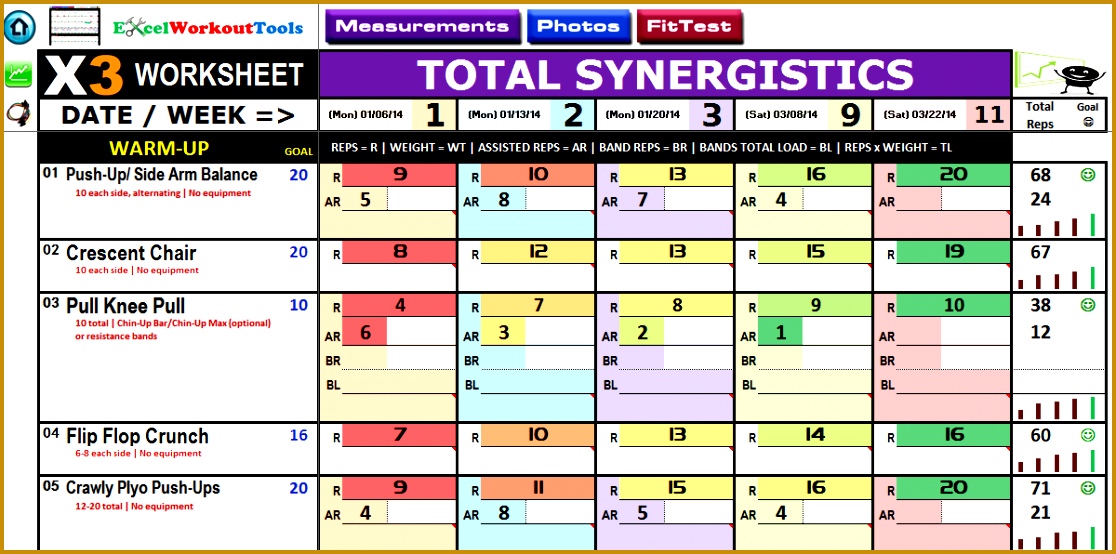 p90x3 excel total synergistics worksheet … 5541116