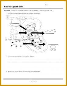 synthesis plete Unit Plan Bundle 283219