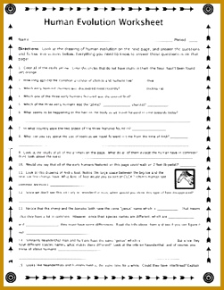 Evolution worksheet pichaglobal by biscuitcrumbs teaching resources tes 325251