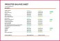 7 Bank Balance Sheet format Excel