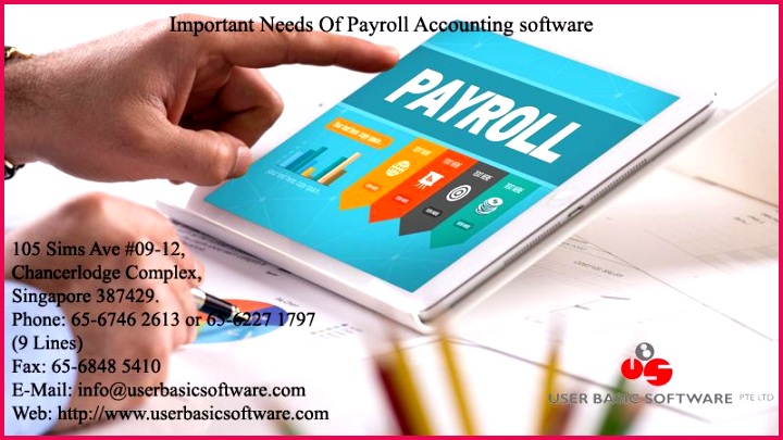 User Basic Software Important Needs Payroll Accounting software