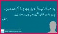 Class 10 Notes Urdu Paristan Ki Shehzadi Exercise