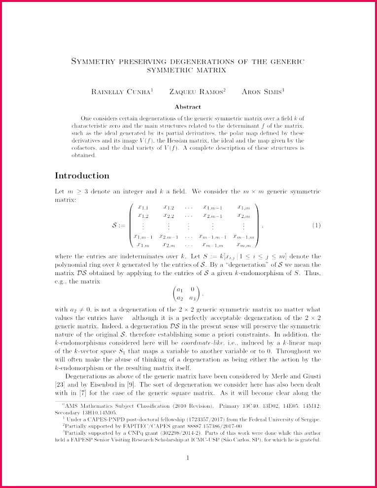PDF Homaloidal determinants