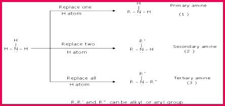 Amines Class 12 Notes Chemistry