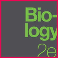 Biology 2e cover image