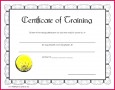 7 Abuse Training Certificates Templates