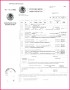 3 Birth Certificate Translation Template for Immigration