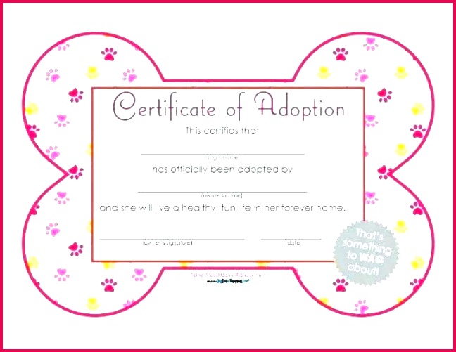 dog birth certificate blank female adoption template dogs printable free images c pet new rock