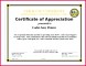 5 Free Army Certificate Of Appreciation Template
