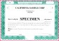 6 Free Common Stock Certificate Template