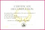 4 Free Completion Certificates Templates