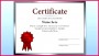 7 Free Editable Participation Certificate Templates