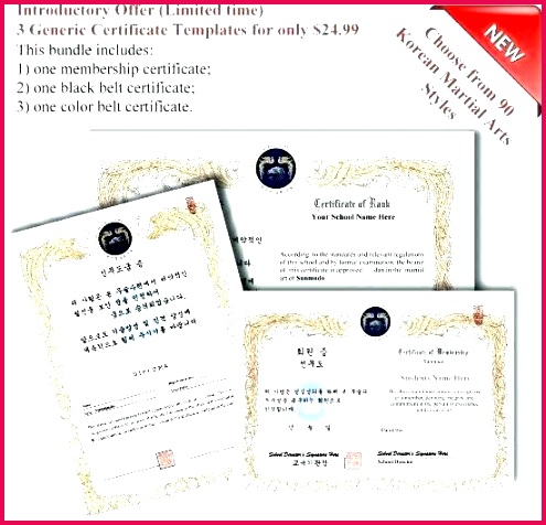 martial arts t certificate template new generic certificates format templates for timeline g tattoo t certificate template free unique martial arts templates templates powerpoint 2010