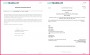 4 French Birth Certificate Template Translation