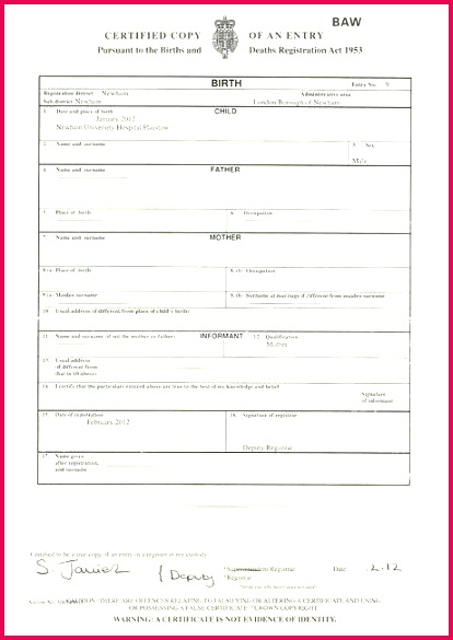 birth certificate template translation translating certificates free uk sample application form certific